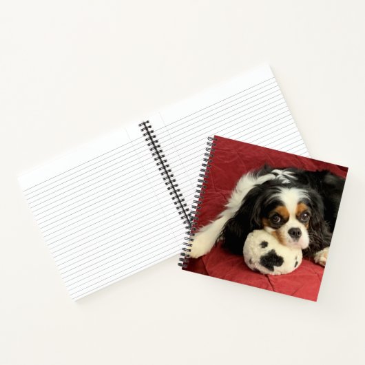 Cavalier King Charles Spaniel Small Notebook Notitieboek (Binnen)