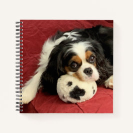 Cavalier King Charles Spaniel Small Notebook Notitieboek
