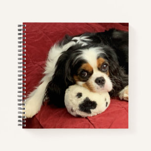 Cavalier King Charles Spaniel Small Notebook Notitieboek