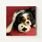 Cavalier King Charles Spaniel Small Notebook Notitieboek (Achterkant)