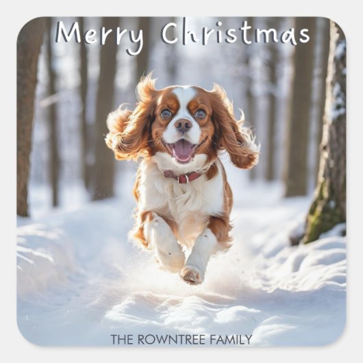 Cavalier King Charles Spaniel Sneeuw Prettig Kerst Vierkante Sticker (Voorkant)