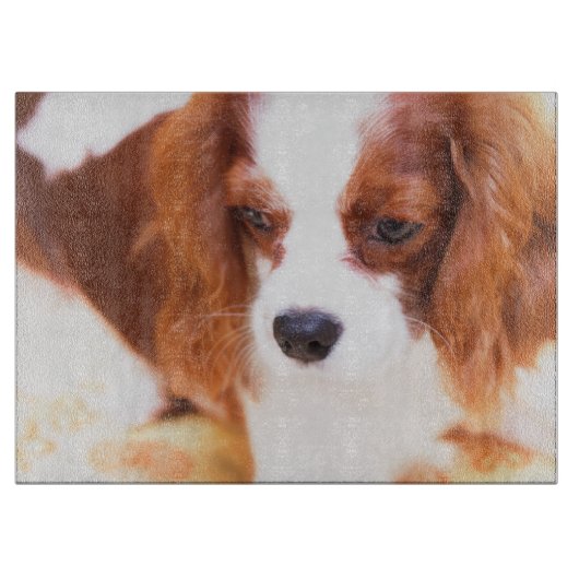 Cavalier King Charles Spaniel Snijplank (Voorkant)