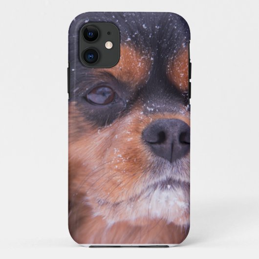 Cavalier King Charles Spaniel Snowflake Case-Mate iPhone Case (Achterkant)