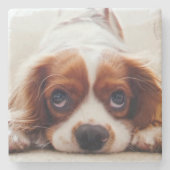 Cavalier King Charles Spaniel Stenen Onderzetter (Voorkant)