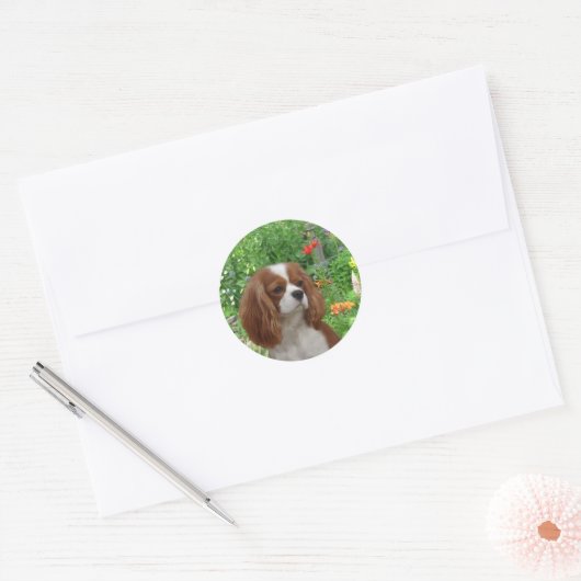 Cavalier King Charles Spaniel Sticker (Envelop)
