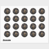Cavalier King Charles Spaniel Stickers (Vel)
