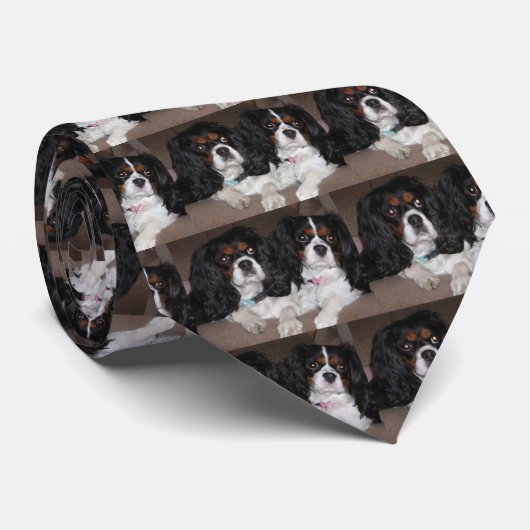 Cavalier King Charles Spaniel Stropdas (Opgerold)