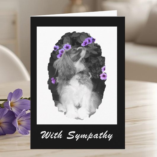 Cavalier King Charles Spaniel Sympathie Kaart