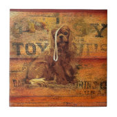 Cavalier King Charles Spaniel Tegeltje (Voorkant)