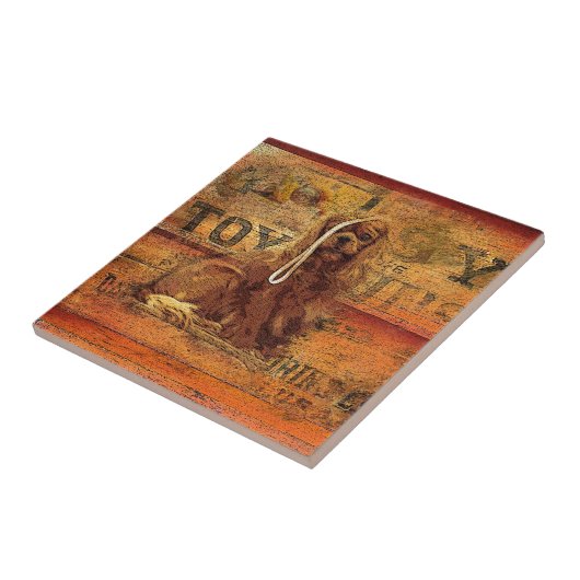 Cavalier King Charles Spaniel Tegeltje (Zijkant)