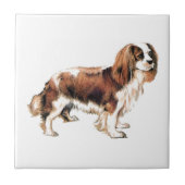 Cavalier King Charles Spaniel Tegeltje (Voorkant)