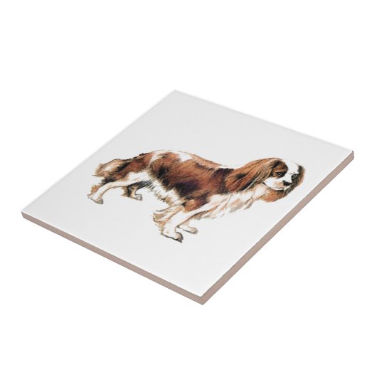 Cavalier King Charles Spaniel Tegeltje (Zijkant)