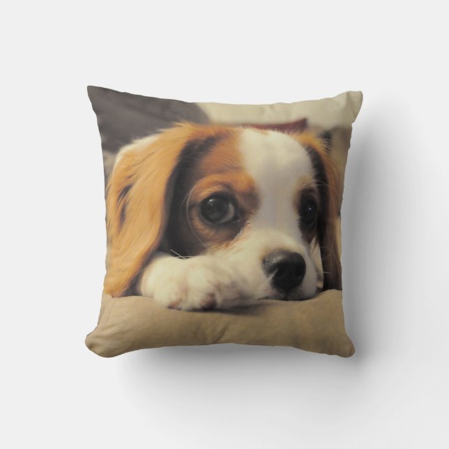 Cavalier King Charles Spaniel Throw Pollow Kussen (Voorkant)