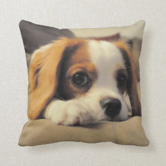 Cavalier King Charles Spaniel Throw Pollow Kussen