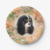 Cavalier King Charles Spaniel - Tri, Bord (Voorkant)