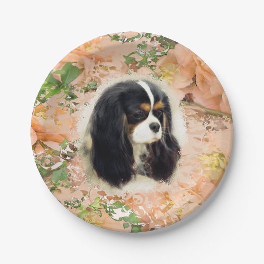 Cavalier King Charles Spaniel - Tri, Bord (Voorkant)