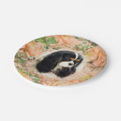 Cavalier King Charles Spaniel - Tri, Bord (Gekanteld)