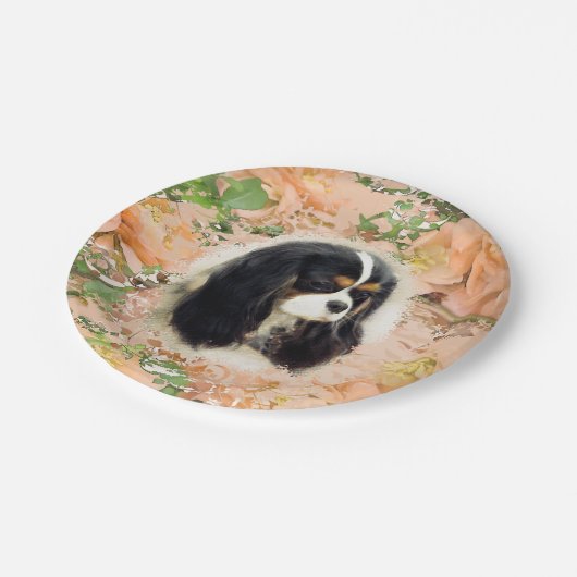 Cavalier King Charles Spaniel - Tri, Bord (Gekanteld)