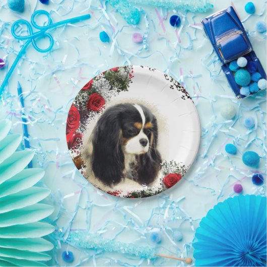 Cavalier King Charles Spaniel - Tri, Bord (Feest)