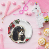 Cavalier King Charles Spaniel - Tri, Bord (Feest)