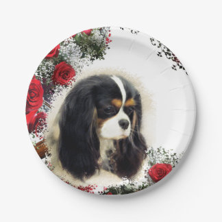 Cavalier King Charles Spaniel - Tri, Bord