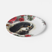 Cavalier King Charles Spaniel - Tri, Bord (Gekanteld)