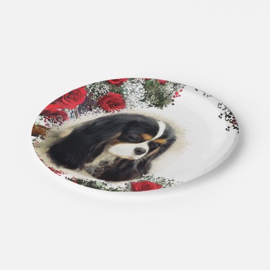 Cavalier King Charles Spaniel - Tri, Bord (Gekanteld)