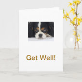 Cavalier King Charles Spaniel Tri Get Well Kaart (Gele Bloem)