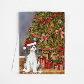 Cavalier King Charles Spaniel Tri Kleur Kerstmis Kaart