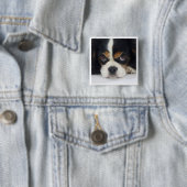 Cavalier King Charles Spaniel Tri Pin Vierkante Button 5,1 Cm (In situ)