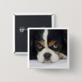 Cavalier King Charles Spaniel Tri Pin Vierkante Button 5,1 Cm (Voorkant /achterkant)