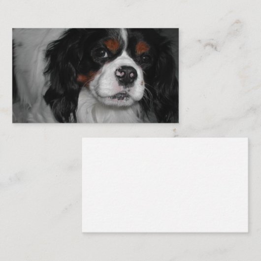 cavalier king charles spaniel tri visitekaartje (Voorkant / Achterkant)