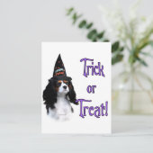 Cavalier King Charles Spaniel Trick Briefkaart (Staand voorkant)