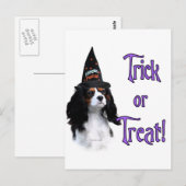 Cavalier King Charles Spaniel Trick Briefkaart (Voorkant / Achterkant)