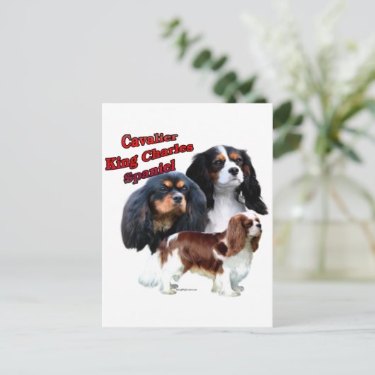 Cavalier King Charles Spaniel Trio 2 Briefkaart (Staand voorkant)