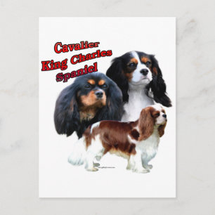 Cavalier King Charles Spaniel Trio 2 Briefkaart