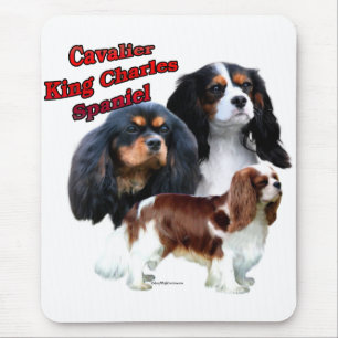 Cavalier King Charles Spaniel Trio 2 Muismat
