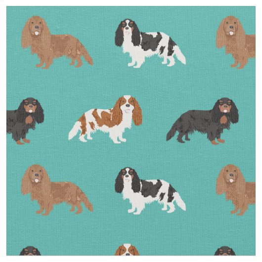 Cavalier King Charles Spaniel turquoise Stof (Close Up)