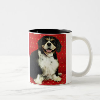 CAVALIER KING CHARLES SPANIEL TWEEKLEURIGE KOFFIEMOK