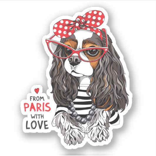 Cavalier King Charles Spaniel uit Parijs met liefd Sticker (Voorkant)
