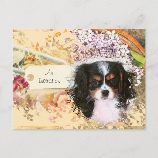 Cavalier King Charles Spaniel Uitnodiging Briefkaart (Voorkant)