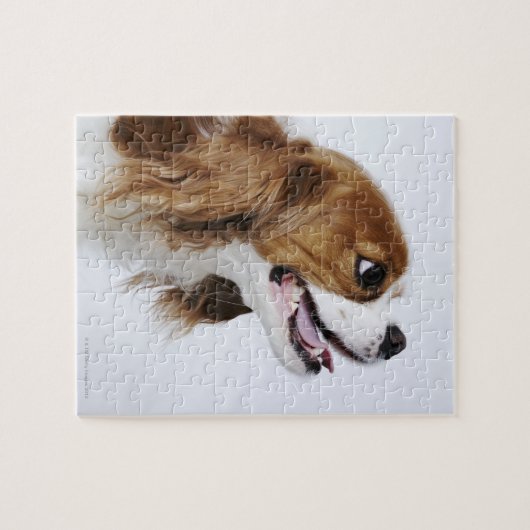 Cavalier King Charles Spaniel, uitzicht zijkant Legpuzzel (Horizontaal)