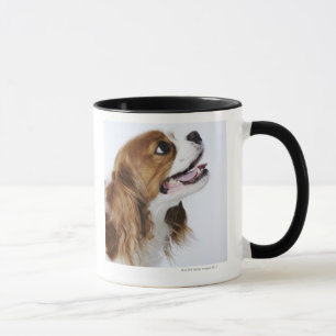 Cavalier King Charles Spaniel, uitzicht zijkant Mok