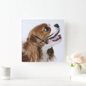Cavalier King Charles Spaniel, uitzicht zijkant Vierkante Klok (Huis)