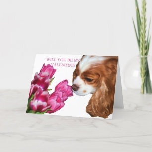 Cavalier King Charles Spaniel Valentijnkaart Feestdagen Kaart
