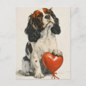 Cavalier King Charles Spaniel Valentijnsdag Briefkaart (Voorkant)