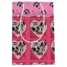 Cavalier King Charles Spaniel Valentijnsdag