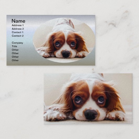 Cavalier King Charles Spaniel Visitekaartje (Voorkant / Achterkant)