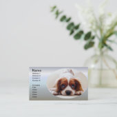 Cavalier King Charles Spaniel Visitekaartje (Staand voorkant)