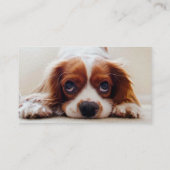 Cavalier King Charles Spaniel Visitekaartje (Achterkant)